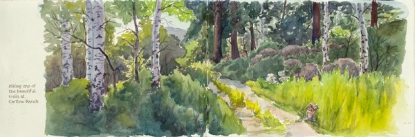 A beautiful trail