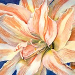 Amaryllis I, watercolor