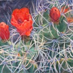 Chaco Cactus, watercolor