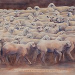 Collective Motion, pen and ink with watercolor