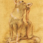 Coyote Pup, colored pencil on prepared paper