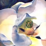 Magnolia, watercolor