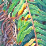 Metamorphosis, watercolor