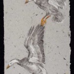 Snow Geese, colored pencil on handmade paper