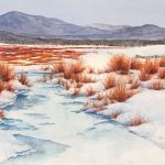 Winter Willows is a pen and ink with watercolor