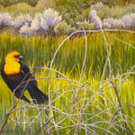 Yellow-headed Blackbird is a pen and ink with watercolor.