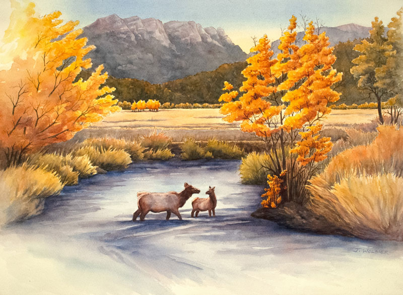Moraine Park, RMNP is a pen and ink with watercolor.