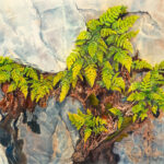 Fern Leaves is a pen and ink with watercolor.